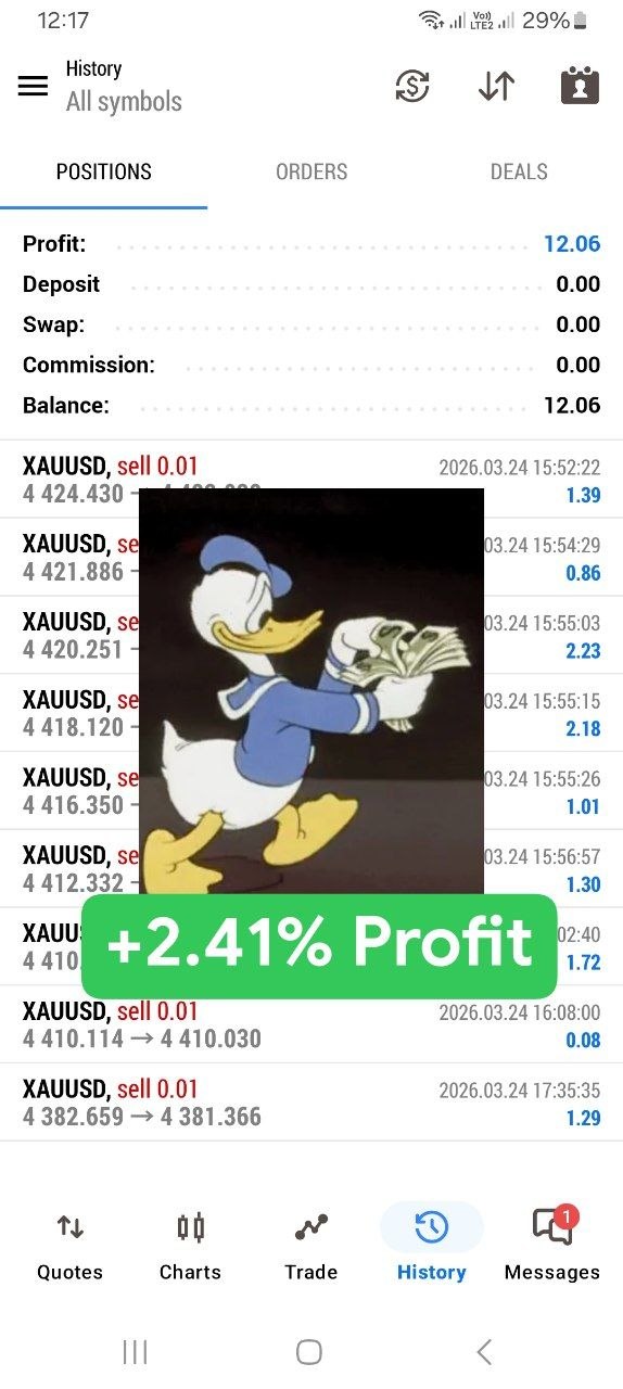 1774446553674 Pavpte
