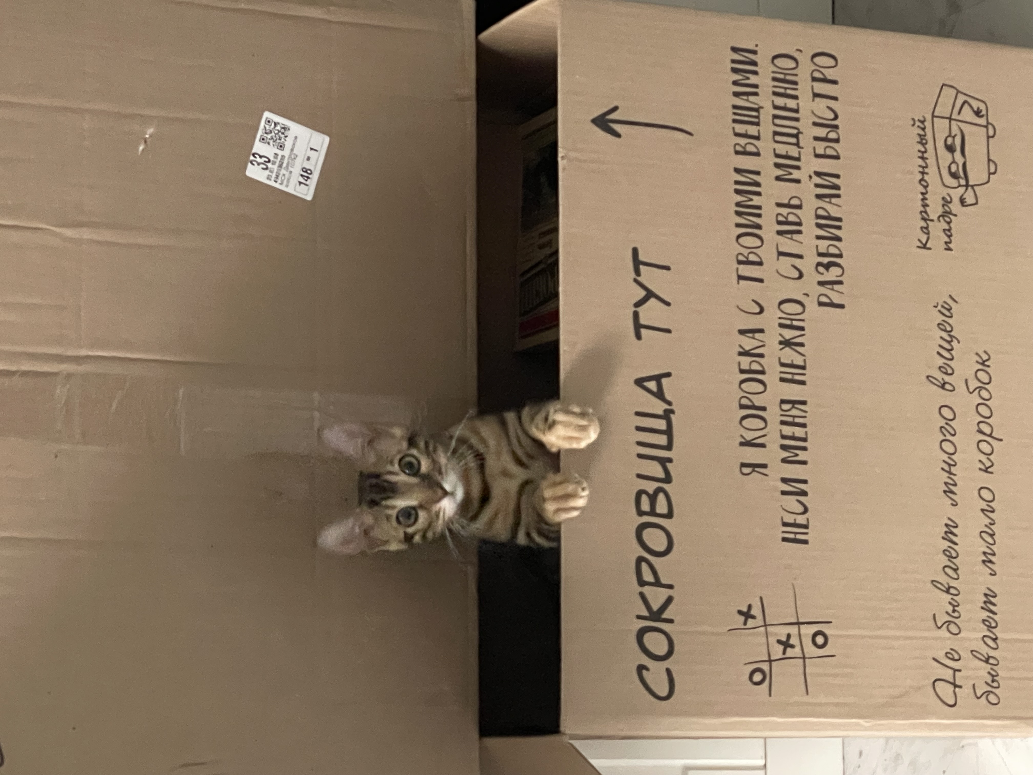 1775219230600 Cy8632