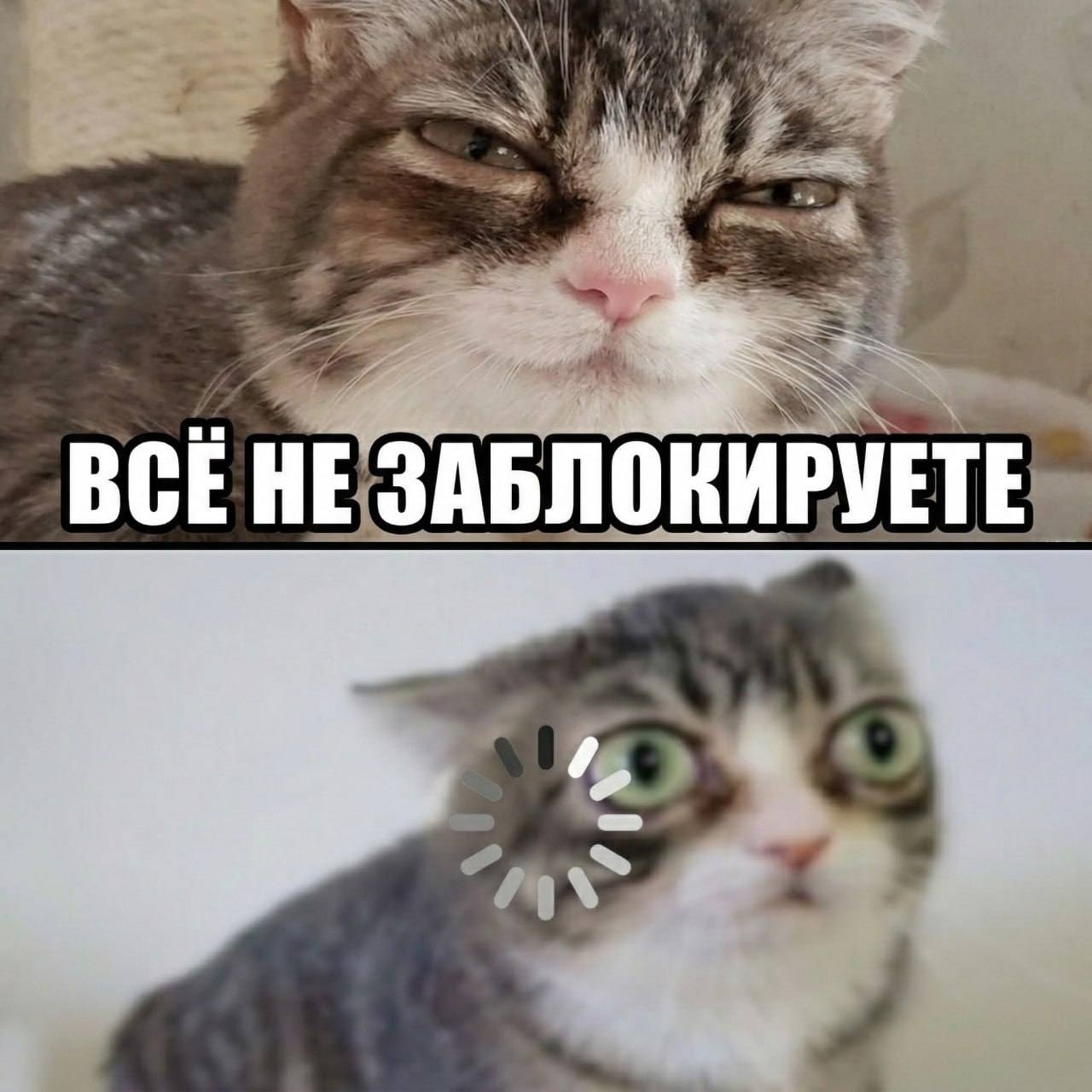 1776958230193 Bl2z8f