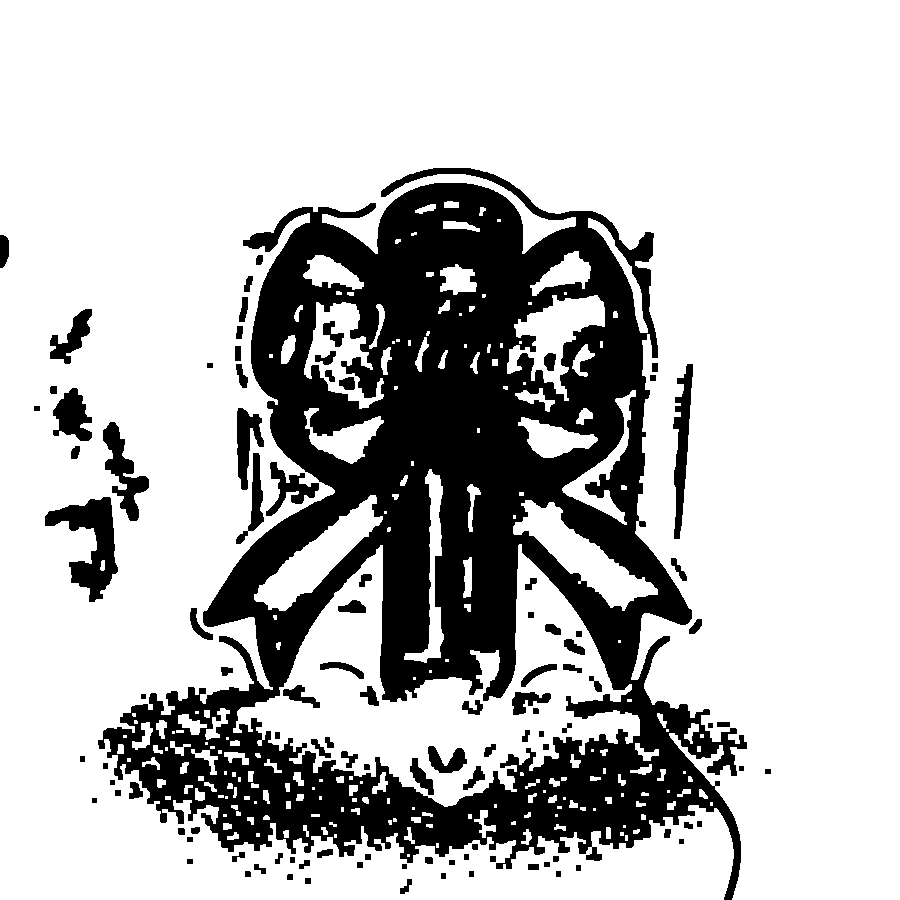 19496692152 1787503489323 Rr9e6p