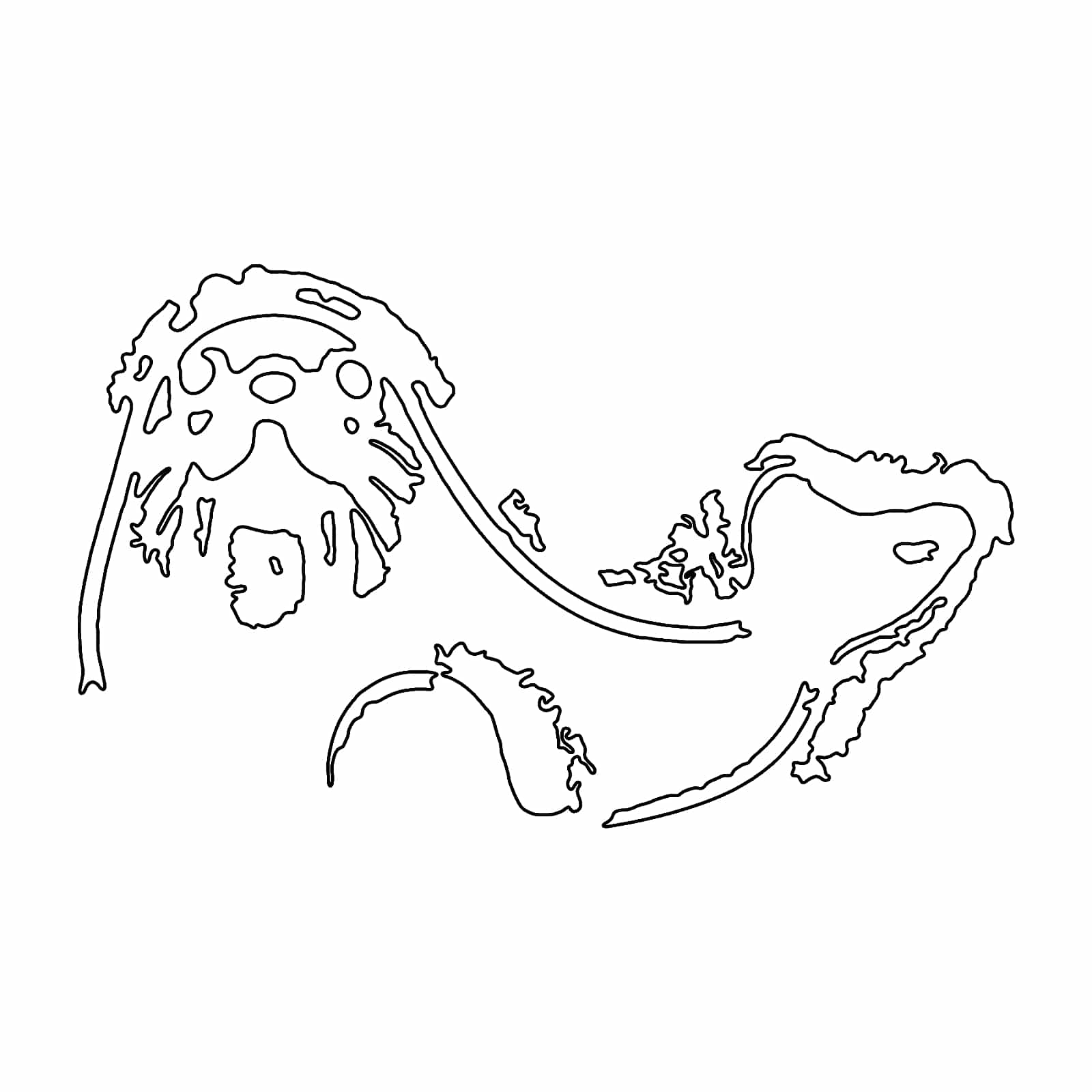 41534368244 1787515096741 Cceei1