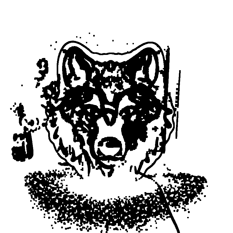 47828007535 1787503517541 477zqk