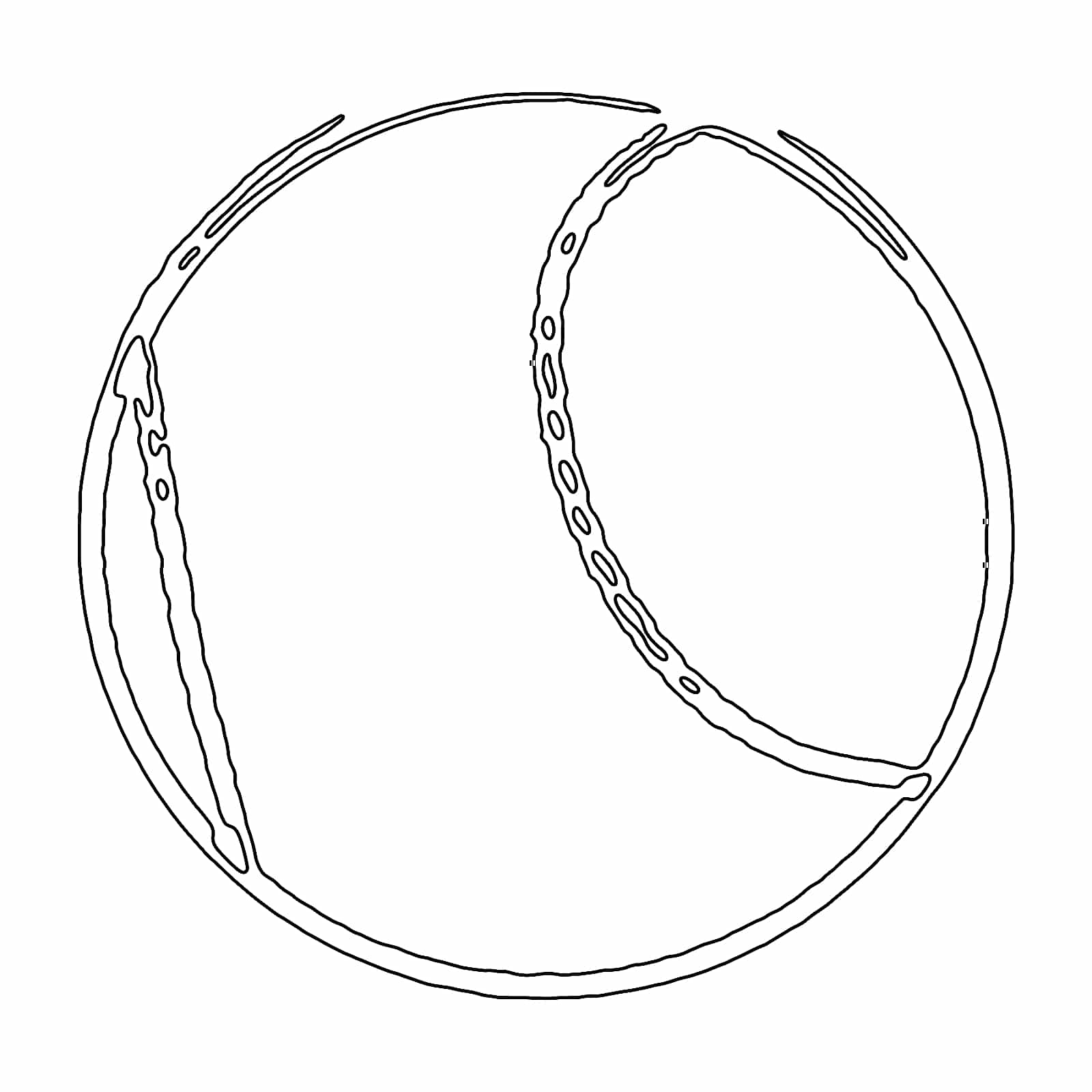 49025018142 1787515054367 Dil6sc
