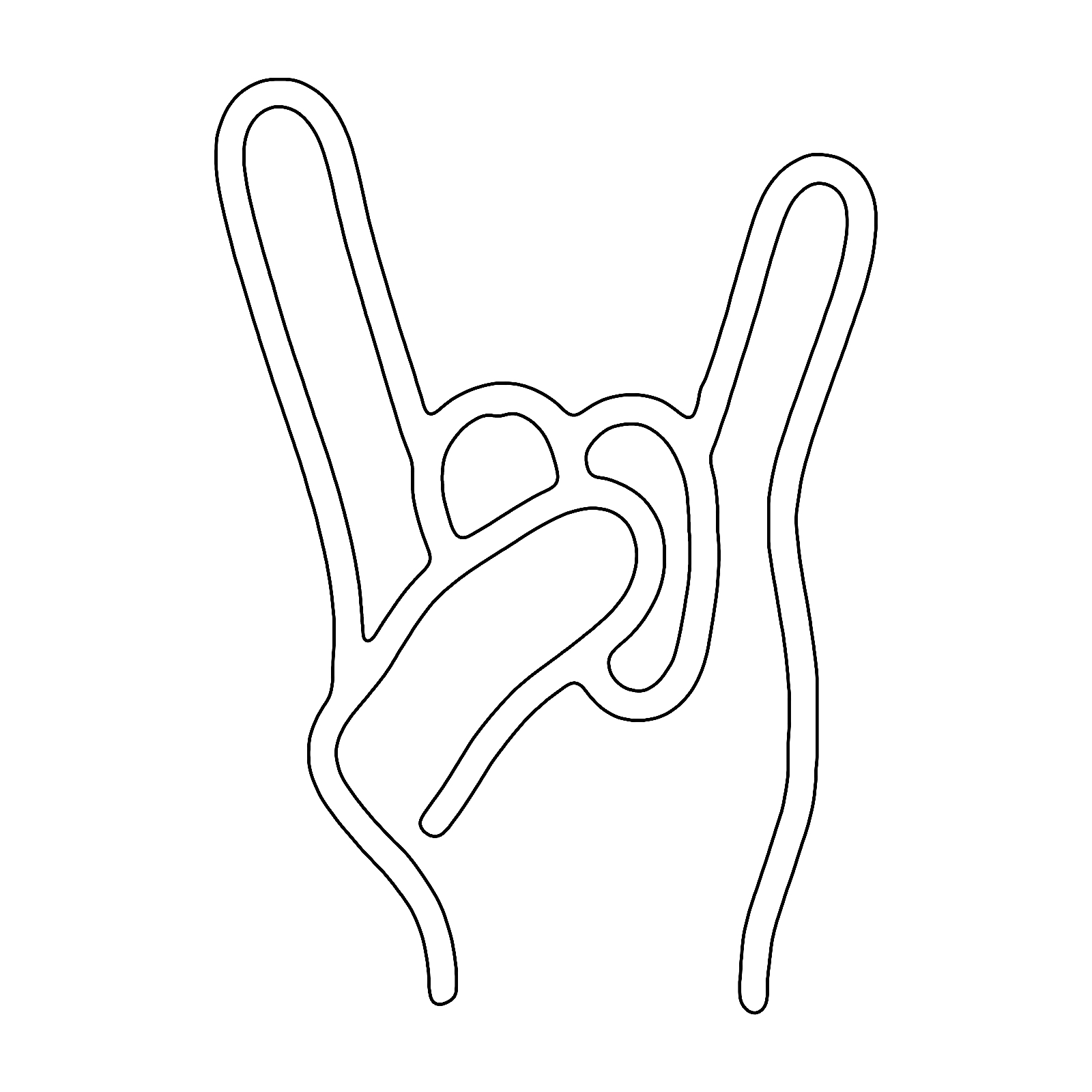 53328803994 1787515036512 Ku774v