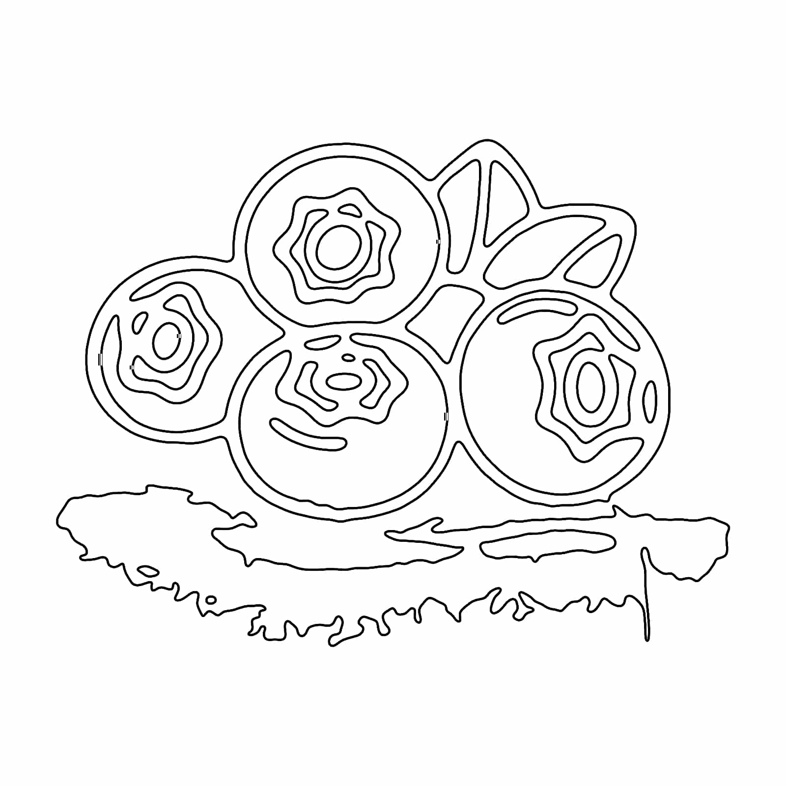 65555010220 1787515054677 Opsbns