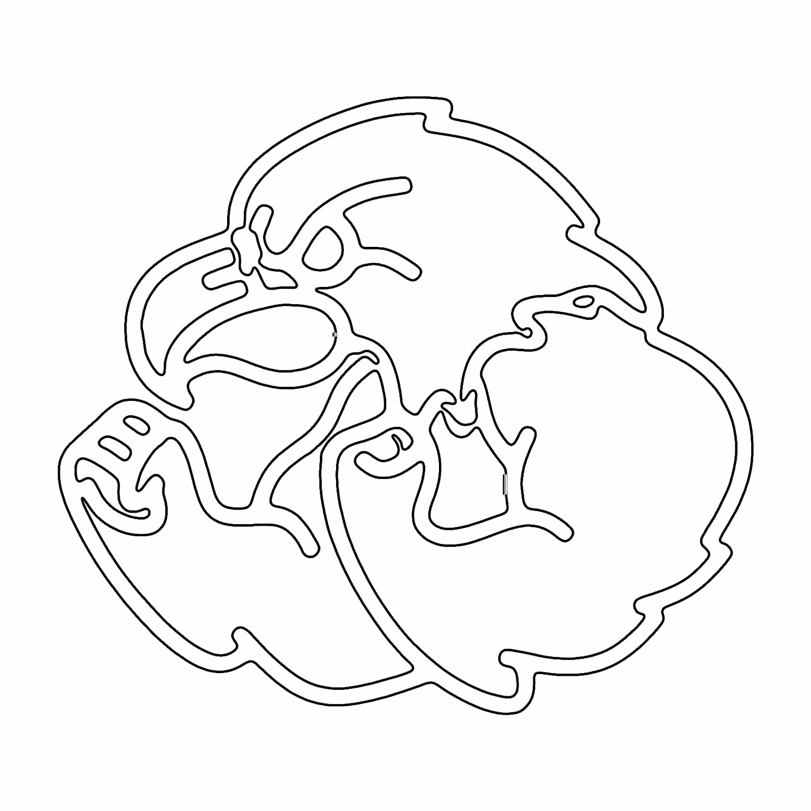 68557620576 1787515037680 Ref5s9