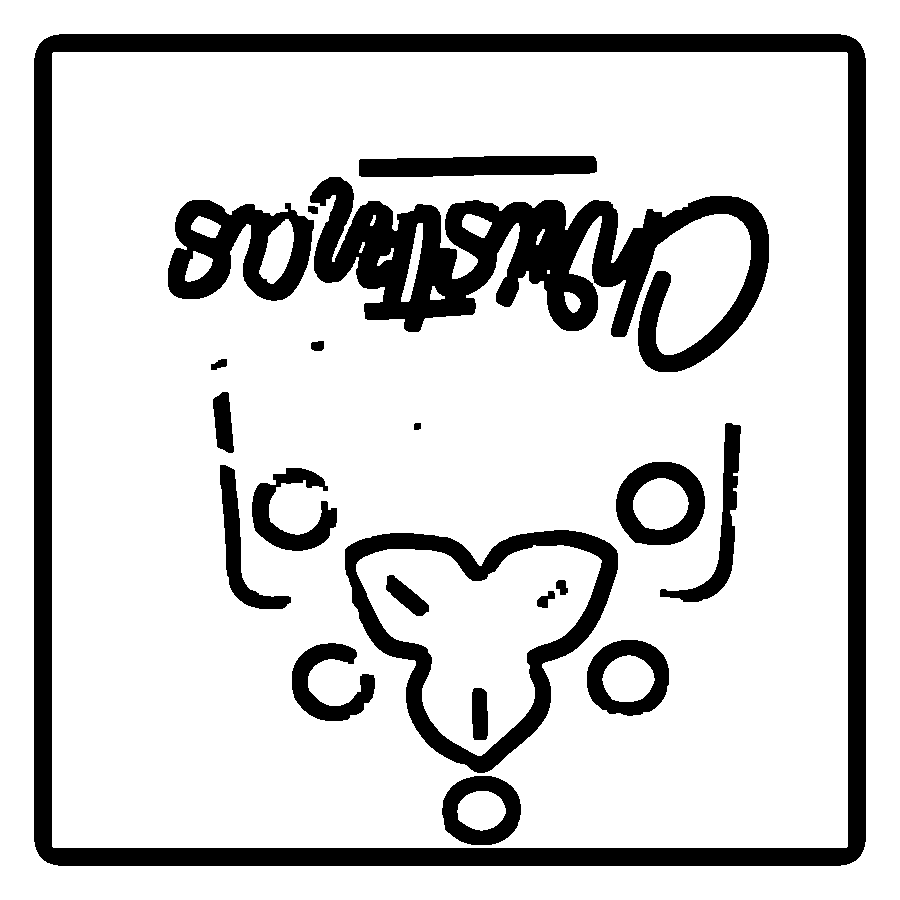77436544305 1787503472739 Cgosap