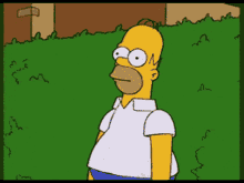 The Simpsons Homer Simpson 1787614504116 Hyfr3k